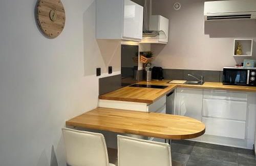 Plage à 400 m Studio tout confort Terrasse Clim Parking - Foto 22