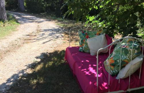 Les volets lavande - Photo 20