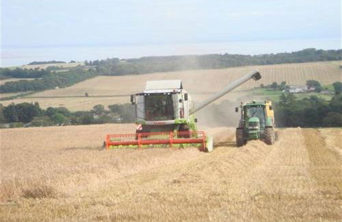 Criffel Glen - Foto 19