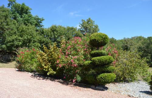 La Tourelle du Lot - Photo 41