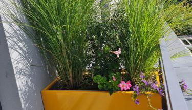 Attic pour 4 personnes - Foto 3