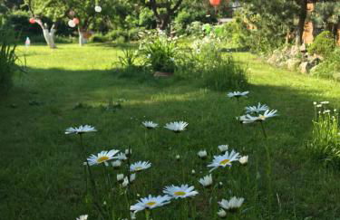 Hering FeWo I Apartment Terrace - Foto 30