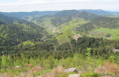 Ferienwohnung Schwarzwaldblick - Photo 21