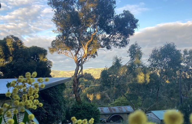 Karawatha Cottages B&B - Foto 34