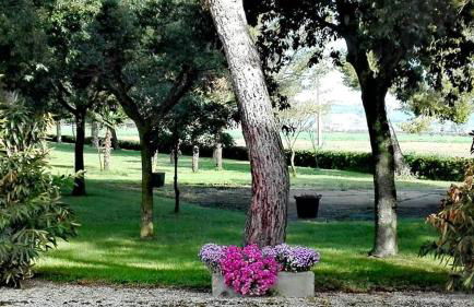 Silos Torrenova - Foto 31