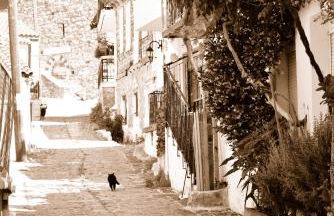 The art studio - Foto 11