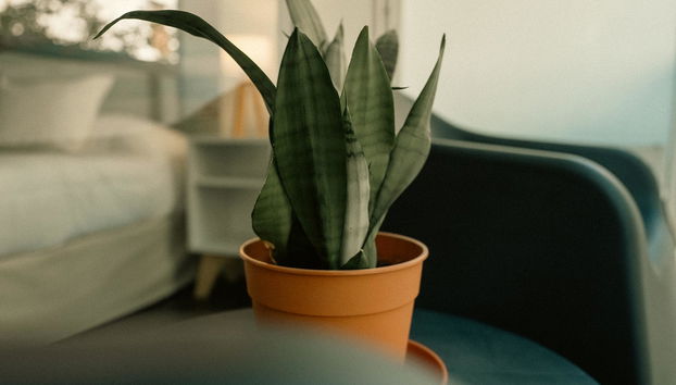 Sucre Suites - Foto 2