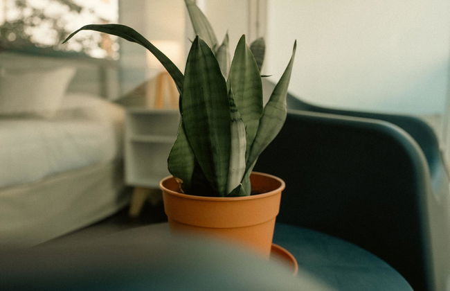 Sucre Suites - Foto 2