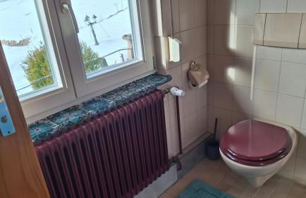 Ferienhof Ziegler- Sonnenschein - Foto 40