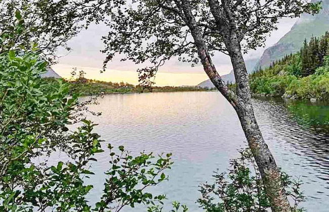 6 Person Holiday Home in Bratland-by Traum - Foto 17