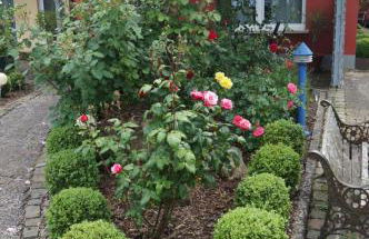 Ferienhaus Schloss-Garten - Foto 7