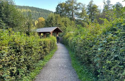 Schwarzwaldhaus Zwink - Foto 20