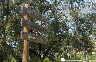 Herdade de Montalvo - Comporta - Foto 28