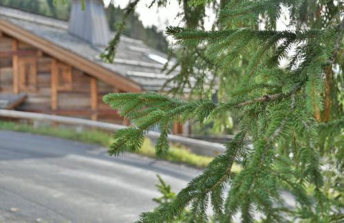 Les Raiches 4 - Photo 15