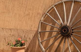 Agroturismo Son Marge - Photo 30