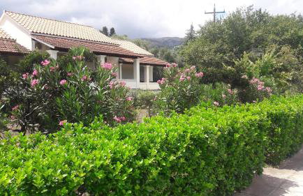 Lemontree Apartments - Foto 53