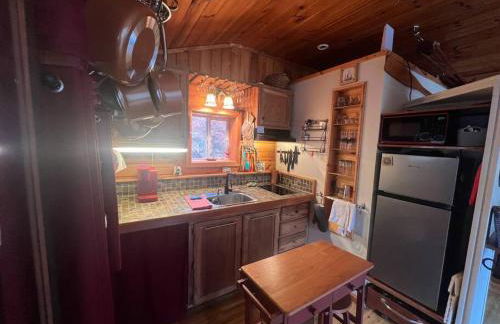 Private Mtn Love Shack w/ fast wifi, BBQ & view - Foto 57