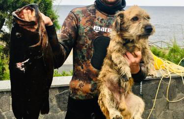 Sea Roots "Sea Zone" - Foto 48