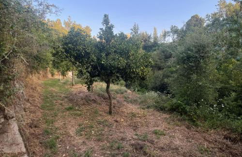 Nascente, place in nature next to a waterfall - Foto 23