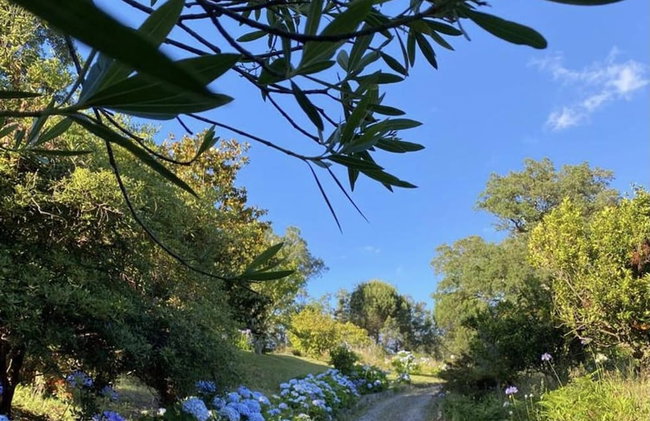 Cottage Sleeps 12 with Pool and Parking - Foto 42