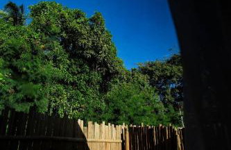 Cabana Mulungu - Viagem Inspirada - Foto 32