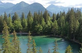 Le Flory'lège - Foto 26