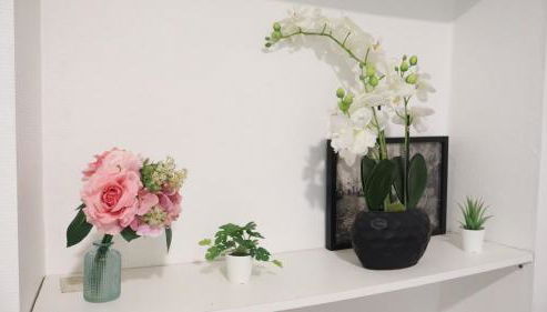 Le clos Champenois maison au cœur des vignes - Foto 3