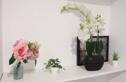 Le clos Champenois maison au cœur des vignes - Foto 3