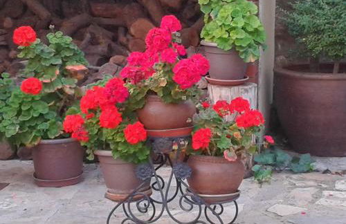 La Posada de Clotilde - Foto 36