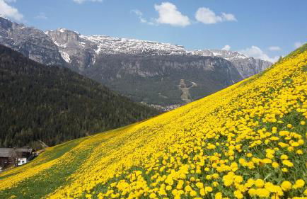 App. Villa Fraina - Foto 8