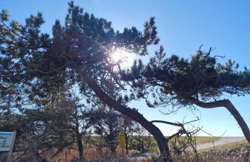 Haus-Fehmarn-am-Dorfteich-|-Wohnung-2-West - Foto 42