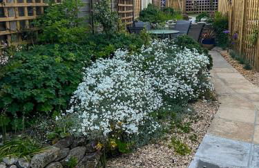 Arcadia Cottage, Mere - Foto 19