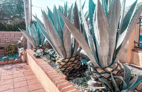 Cozy beach home walking distance from ocean - Foto 29