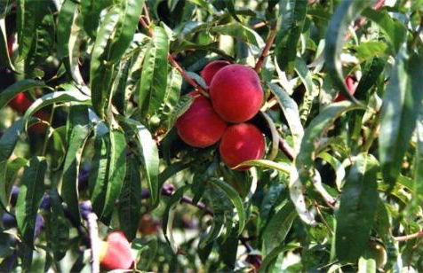 Agriturismo La Biandrina - Foto 119