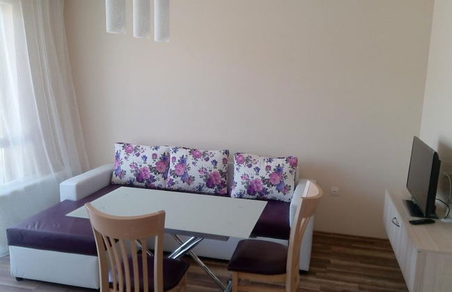 Florence Deluxe - Photo 20