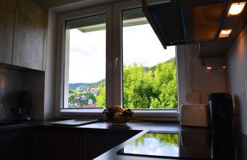 Pazdur Alpirsbach - Foto 11