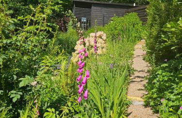 Treetops Lodge, private Cornish hideaway, parking, garden - Foto 62