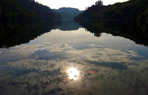 Forest Hideaway Near Douro Valley - Foto 57