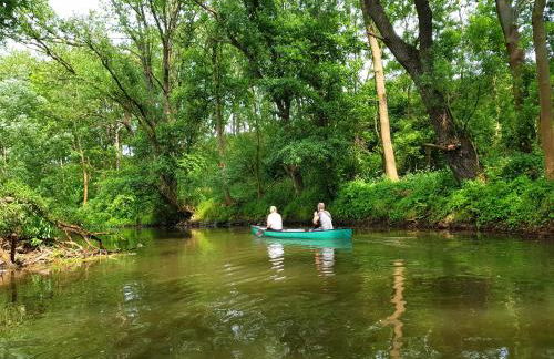 Ferienwohnung Lion - Foto 15
