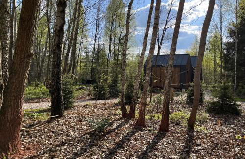 Odpoczynek Domki Pod Dębem z Opcją Jacuzzi - Foto 50