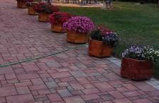 Apartamenty Pod Magnolią - Foto 6