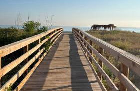 Residence 'Il Fratino' - Foto 12