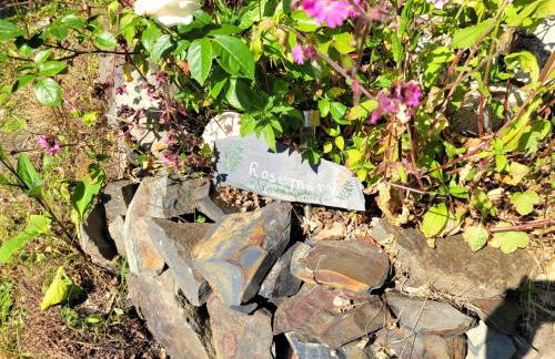 Tan y coed's Rosemary Cabin - Photo 23