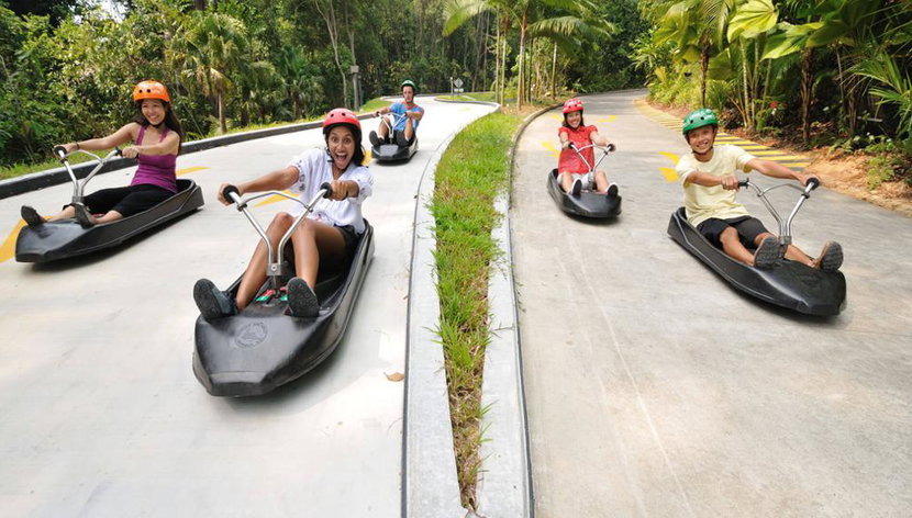 Skyline Luge - Billet - Photo 2