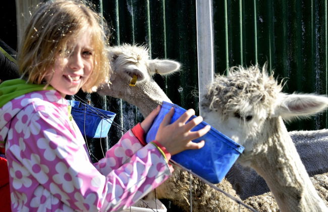 Diamond Forest Farm Stay - Foto 28