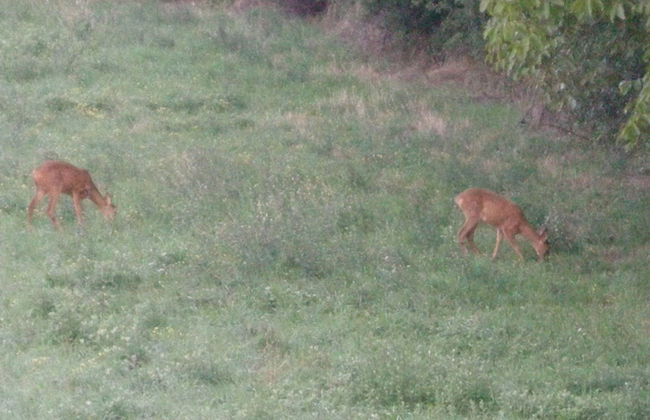 Welcome to Casa Terracotta a Cosy Self-catering Holiday Home - Photo 23
