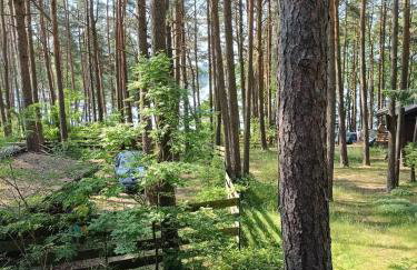 Domek w Ocyplu-Ocypelski Śpik ,Bory Tucholskie - Foto 18