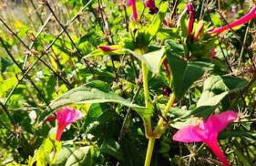 Casa De Madera, A home from home. - Foto 6