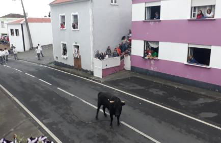 Casa Codorniz - Photo 44