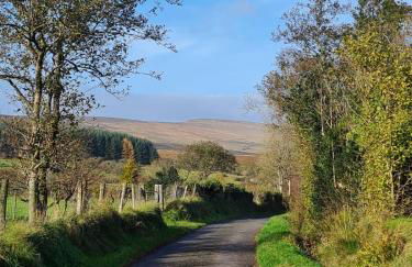 The Cornerstone - Foto 25